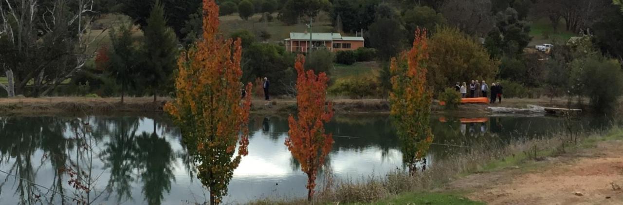 Woodlands Of Balingup Bush Cottages المظهر الخارجي الصورة