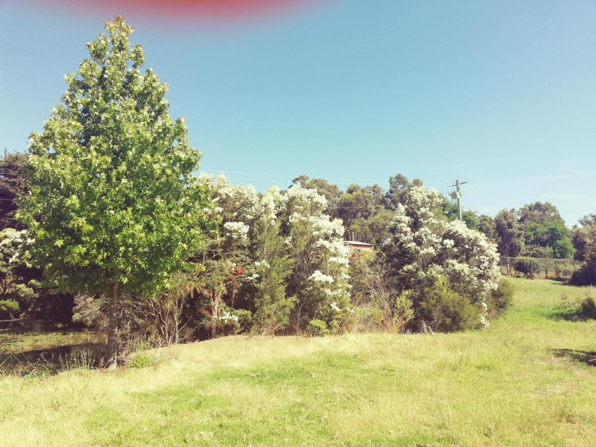 Woodlands Of Balingup Bush Cottages المظهر الخارجي الصورة