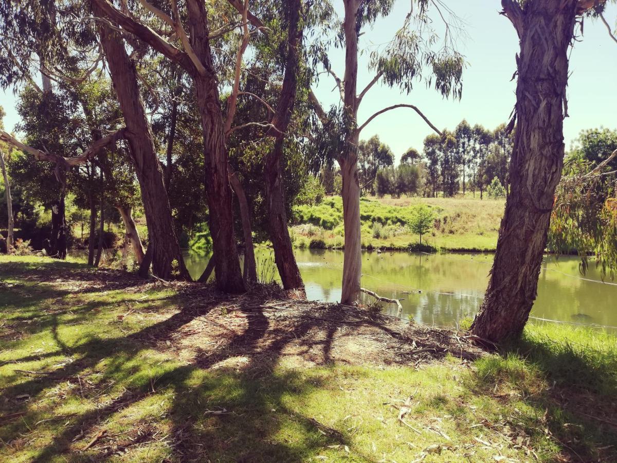 Woodlands Of Balingup Bush Cottages المظهر الخارجي الصورة
