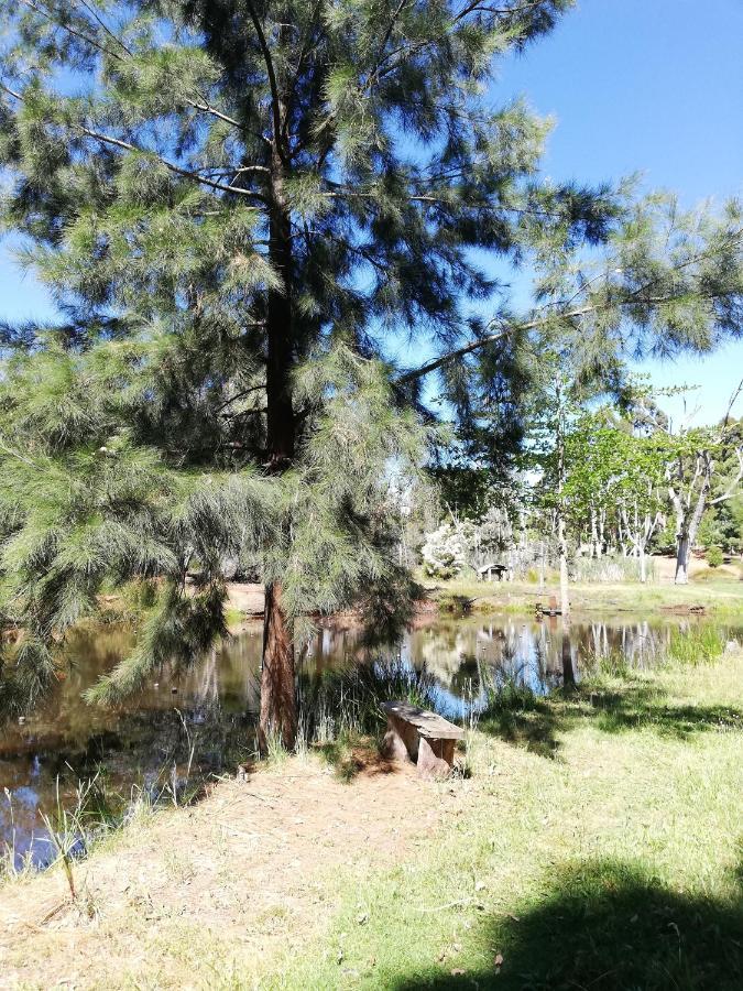 Woodlands Of Balingup Bush Cottages المظهر الخارجي الصورة